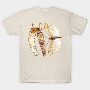 Brachicentridae Caddisfly T-Shirt